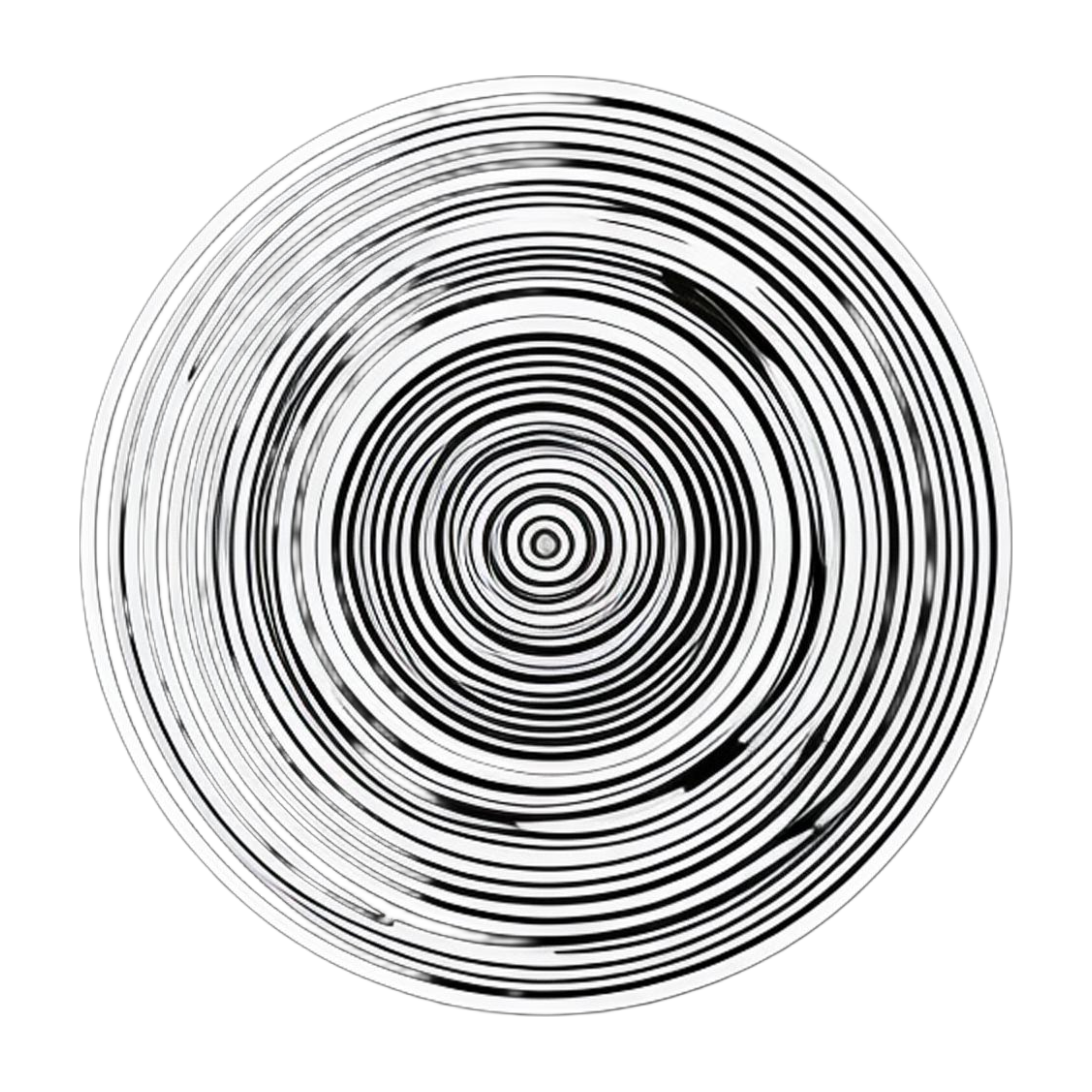 SpinFees Logo